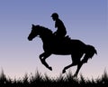 Rider on a horse galloping Royalty Free Stock Photo